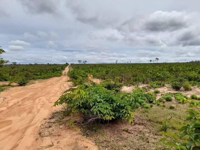 #1065 - Chácara para Venda em Paranatinga - MT - 1