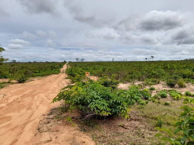 #1065 - Chácara para Venda em Paranatinga - MT - 1