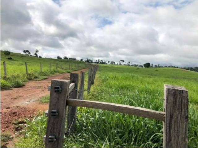 #1597 - Chácara para Venda em Porto Velho - RO - 2