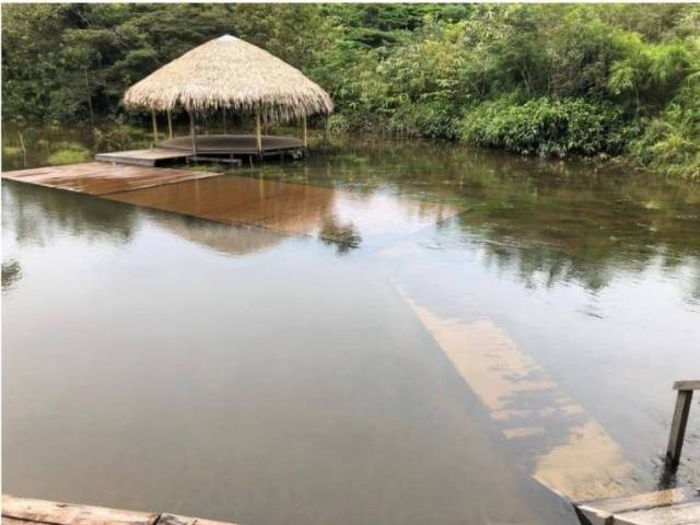 #1597 - Chácara para Venda em Porto Velho - RO - 1